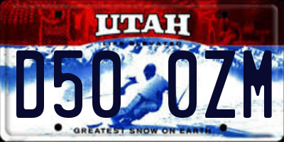 UT license plate D500ZM
