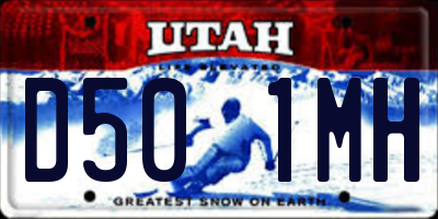 UT license plate D501MH