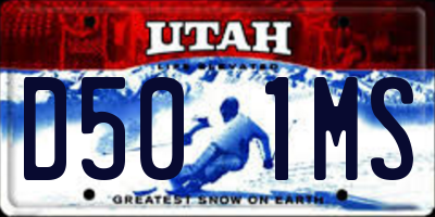 UT license plate D501MS