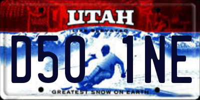 UT license plate D501NE
