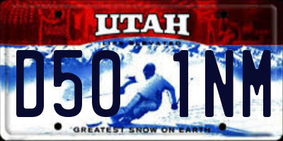 UT license plate D501NM