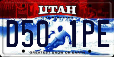 UT license plate D501PE