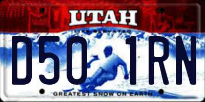 UT license plate D501RN
