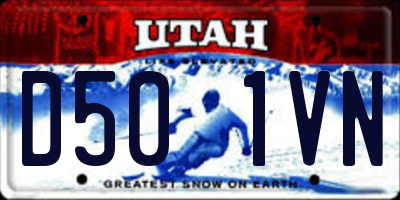 UT license plate D501VN
