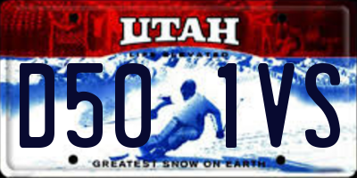 UT license plate D501VS