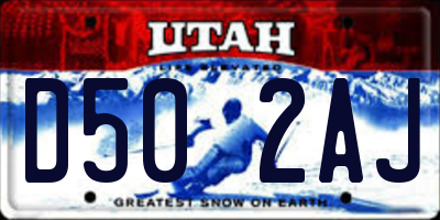 UT license plate D502AJ