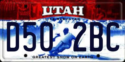 UT license plate D502BC