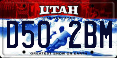 UT license plate D502BM