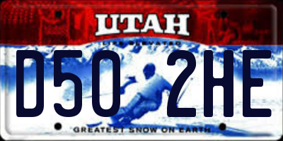 UT license plate D502HE