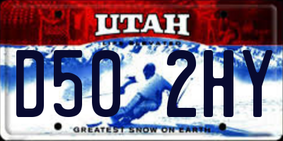 UT license plate D502HY