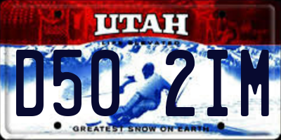 UT license plate D502IM