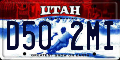 UT license plate D502MI