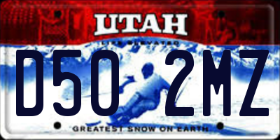 UT license plate D502MZ
