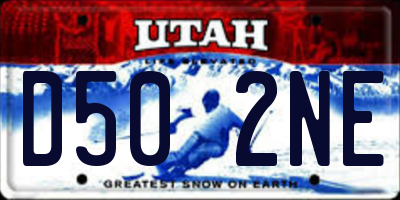 UT license plate D502NE