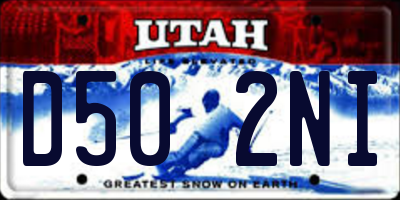 UT license plate D502NI