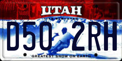 UT license plate D502RH