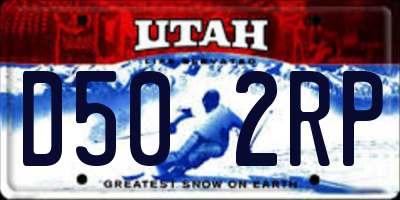 UT license plate D502RP