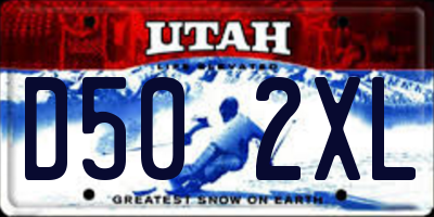 UT license plate D502XL