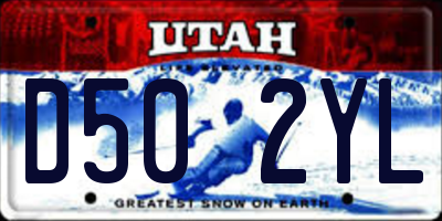 UT license plate D502YL