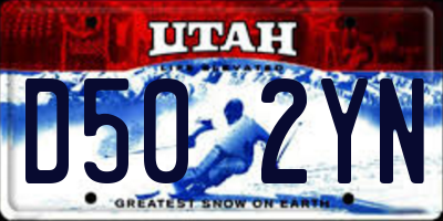 UT license plate D502YN