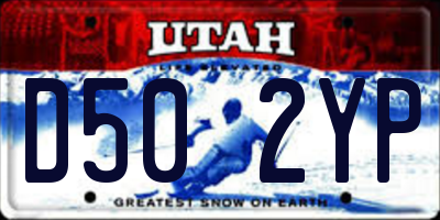 UT license plate D502YP