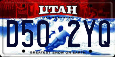 UT license plate D502YQ