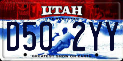 UT license plate D502YY