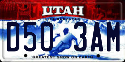UT license plate D503AM