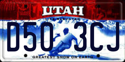 UT license plate D503CJ