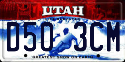 UT license plate D503CM