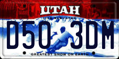 UT license plate D503DM