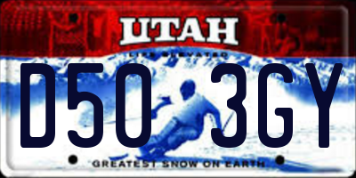 UT license plate D503GY
