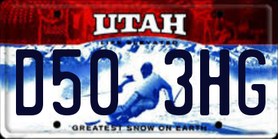 UT license plate D503HG