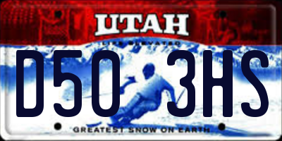 UT license plate D503HS