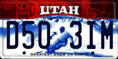 UT license plate D503IM