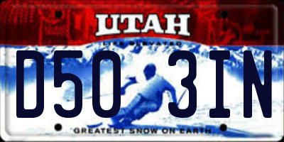 UT license plate D503IN