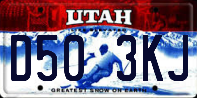 UT license plate D503KJ