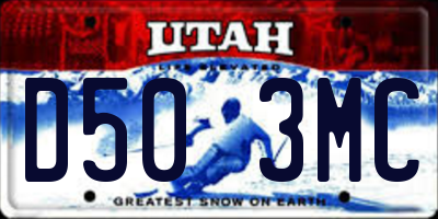 UT license plate D503MC
