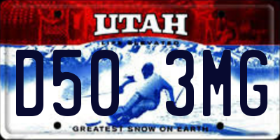 UT license plate D503MG