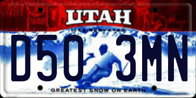 UT license plate D503MN