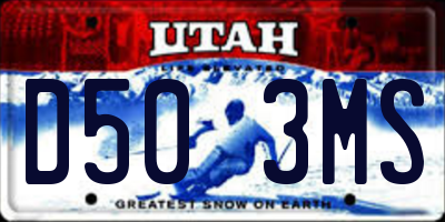 UT license plate D503MS