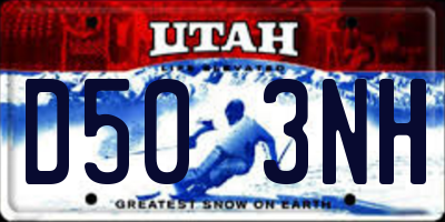 UT license plate D503NH
