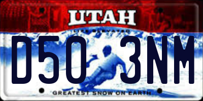 UT license plate D503NM