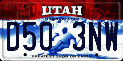 UT license plate D503NW