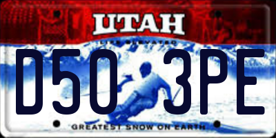 UT license plate D503PE