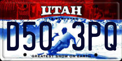 UT license plate D503PQ