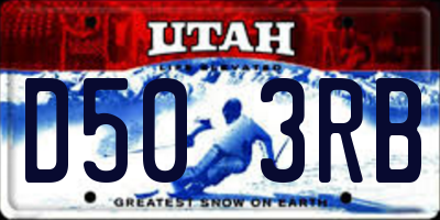 UT license plate D503RB