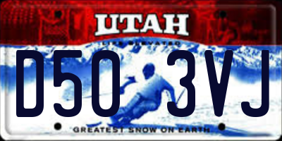 UT license plate D503VJ