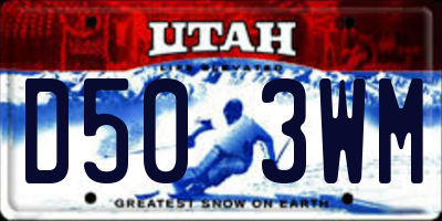 UT license plate D503WM