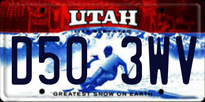UT license plate D503WV